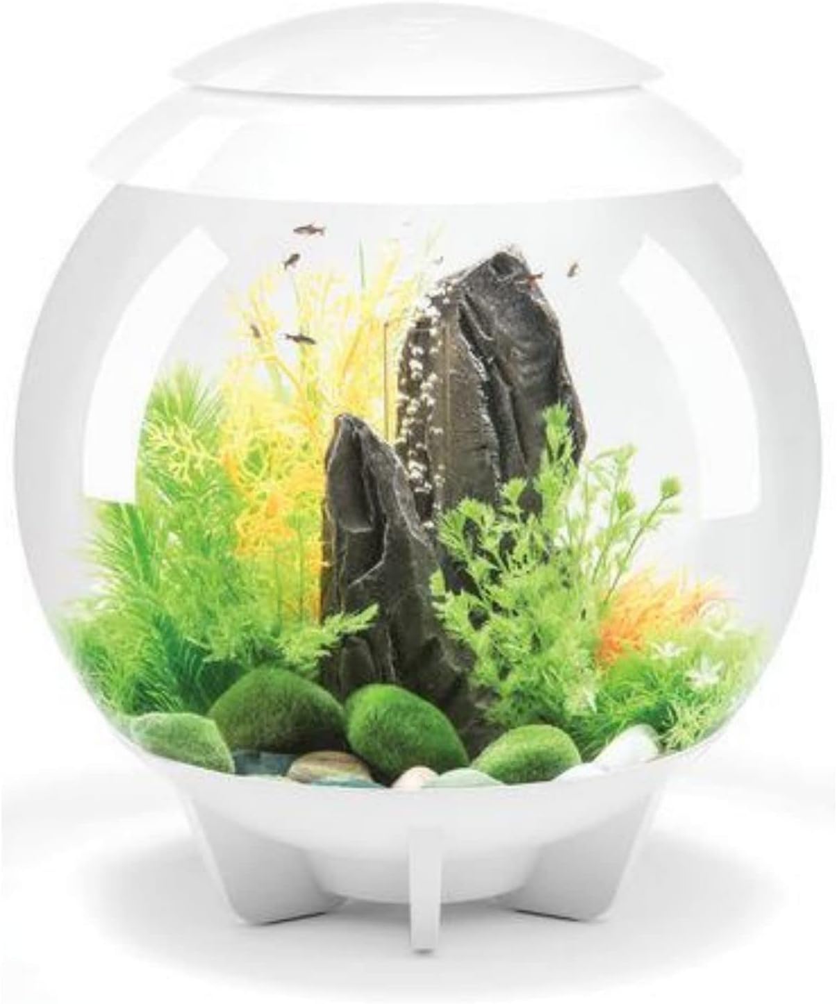 Nomoreef 4 Gallon Acrylic Aquarium with Multi-Color RGB LED Light & Remote, Compact Desktop Tank, White
