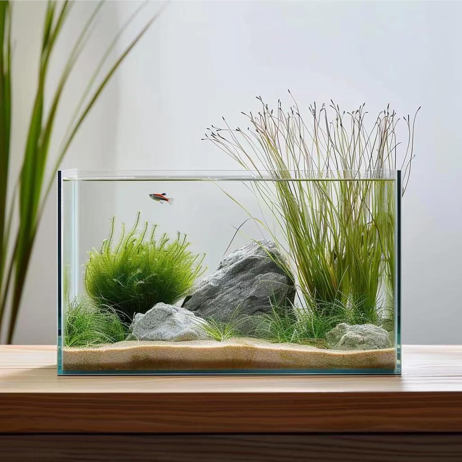 Nomoreef 3 Gallon Glass Fish Tank, Small Aquarium for Betta, Goldfish, Shrimp & Snails