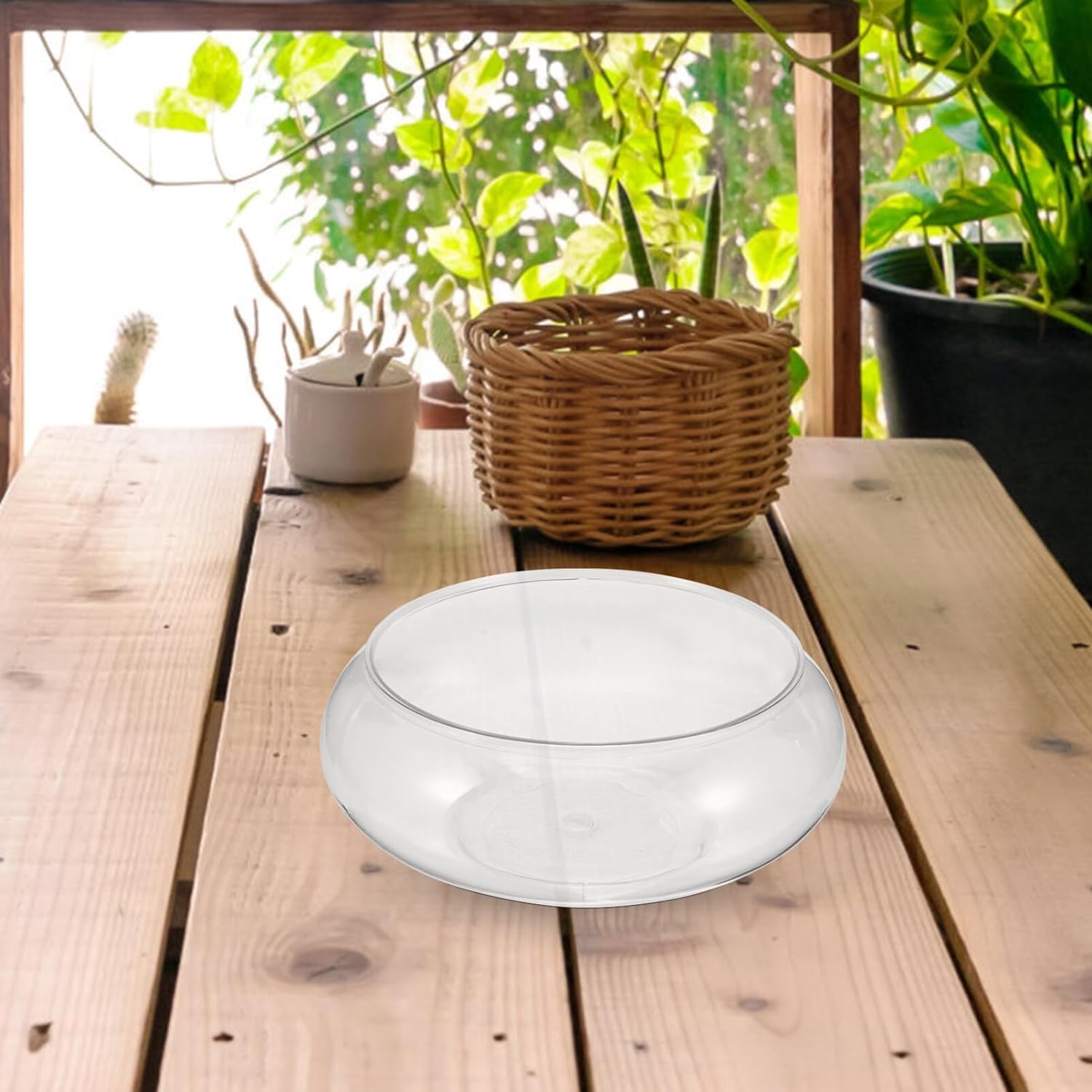 Nomoreef Clear Plastic Bubble Bowl Vase, Round Shallow Planter for Aquatic Plants & Hydroponic Flowers