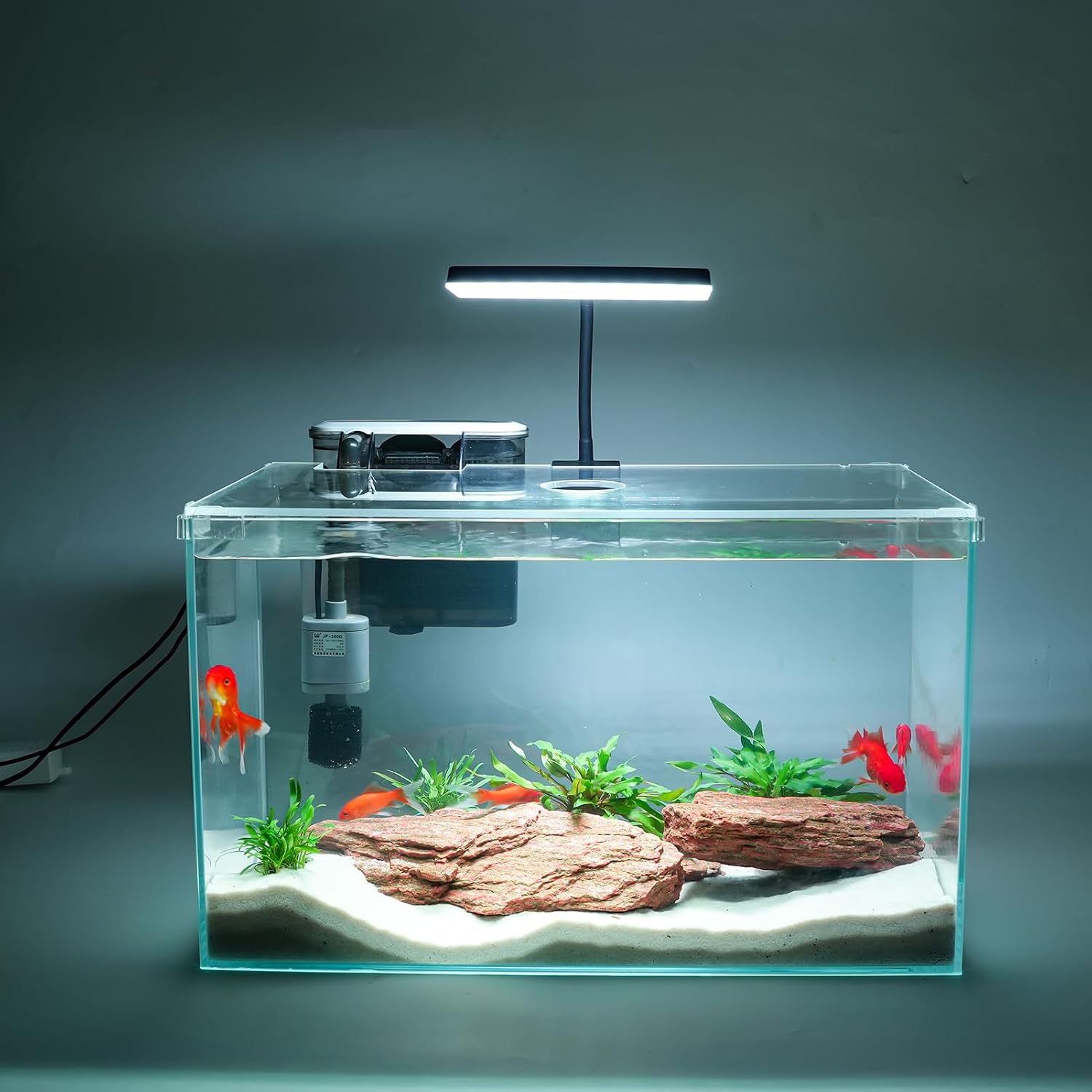 Nomoreef 3 Gallon Glass Betta Fish Tank Starter Kit with Filter, LED Light & Lid