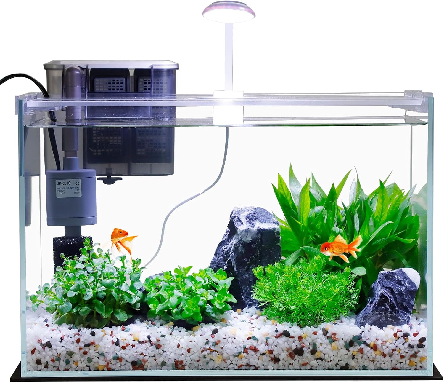 Nomoreef 3 Gallon Glass Betta Fish Tank Starter Kit with Filter, LED Light & Lid