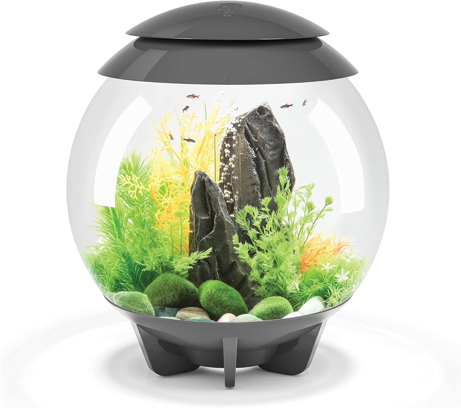 Nomoreef 4 Gallon Acrylic Aquarium with Multi-Color RGB LED Light & Remote, Compact Desktop Tank, White