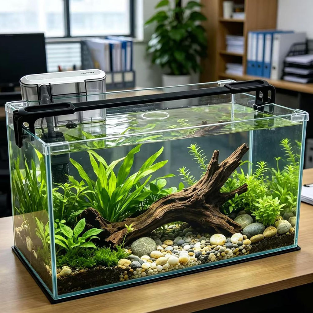 Nomoreef 2 Gallon Glass Fish Tank, Small Aquarium for Betta Fish, Shrimp & Snails