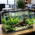 Nomoreef 2 Gallon Glass Fish Tank, Small Aquarium for Betta Fish, Shrimp & Snails